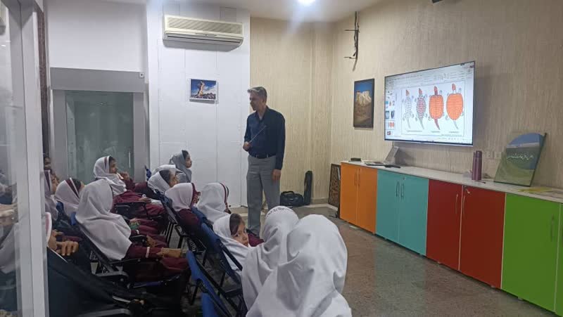  کارگاه آشنایی با لاک‌پشت های دریایی استان هرمزگان برگزار شد