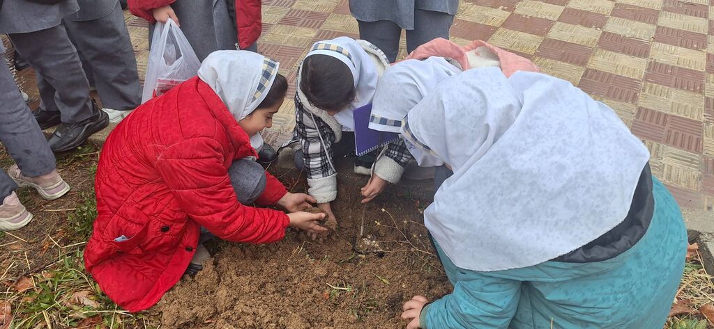 ویژه برنامه‌های مراکز فرهنگی کانون پرورش فکری کهگیلویه و بویراحمد در روز درختکاری