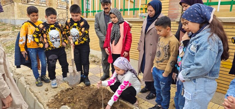 ویژه برنامه‌های مراکز فرهنگی کانون پرورش فکری کهگیلویه و بویراحمد در روز درختکاری