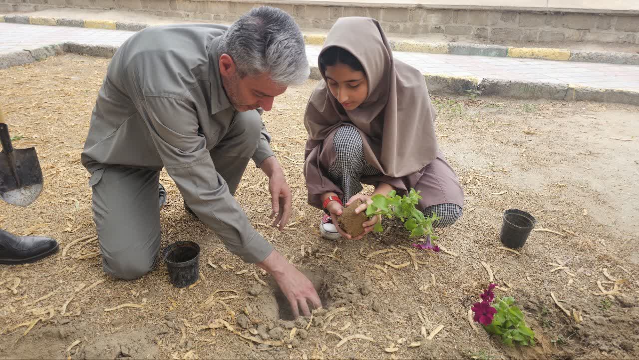 1277087-1 کاشت بوتههای اطلسی در پارک نونهال بندرعباس