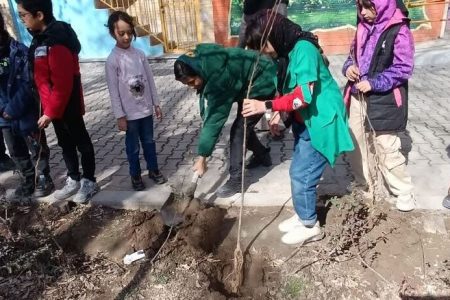 «نامه‌ای برای درخت» در مرکز فرهنگی قوچان