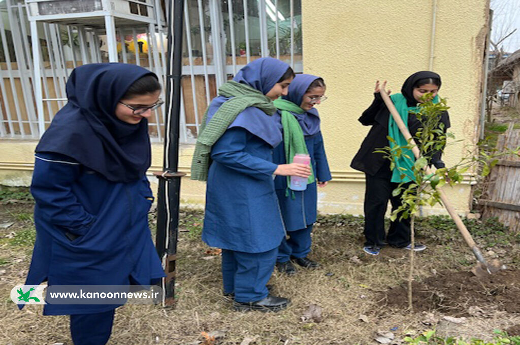 1279183-1 اجرای طرح سفیران سبز در گیلان/ اعضا و مربیان کانون ۱۷۶ نهال کاشتند