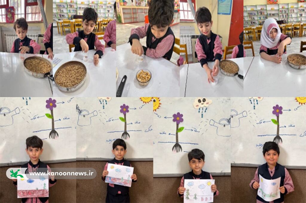 1279195-1 اجرای طرح سفیران سبز در گیلان/ اعضا و مربیان کانون ۱۷۶ نهال کاشتند