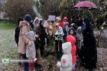 اجرای طرح سفیران سبز در گیلان/ اعضا و مربیان کانون ۱۷۶ نهال کاشتند