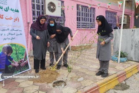 کاشت نهال و اهدای کتاب به یاد شهدا در بوشهر