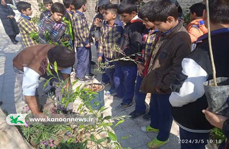 1280804 طرح سفیران سبز در سراسر استان یزد اجرا شد