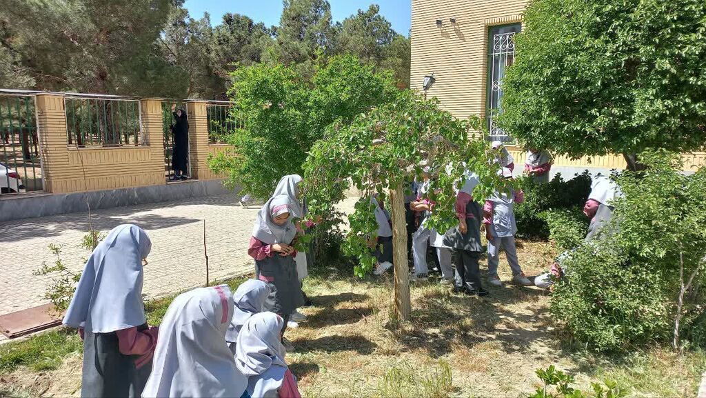 1286858-1 برگزاری کارگاه ادبی «طبیعت با ما حرف میزند» در مرکز فرهنگیهنری شماره ۲ دامغان