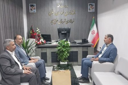 مدیر کل کانون پرورش فکری خراسان جنوبی با سه فرماندار دیدار کرد