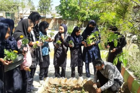 کانونی ها با «کاشت امید»، «سایبانی برای زمین» شدند
