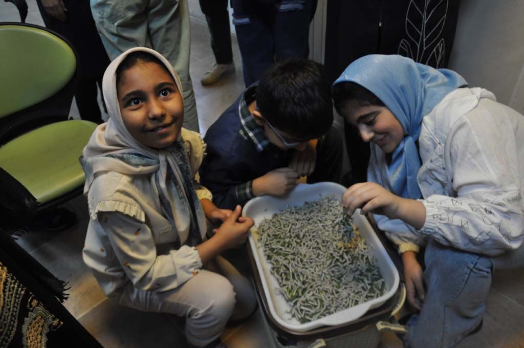 1290766-1 کارگاه پرورش کرم ابریشم در کانون البرز