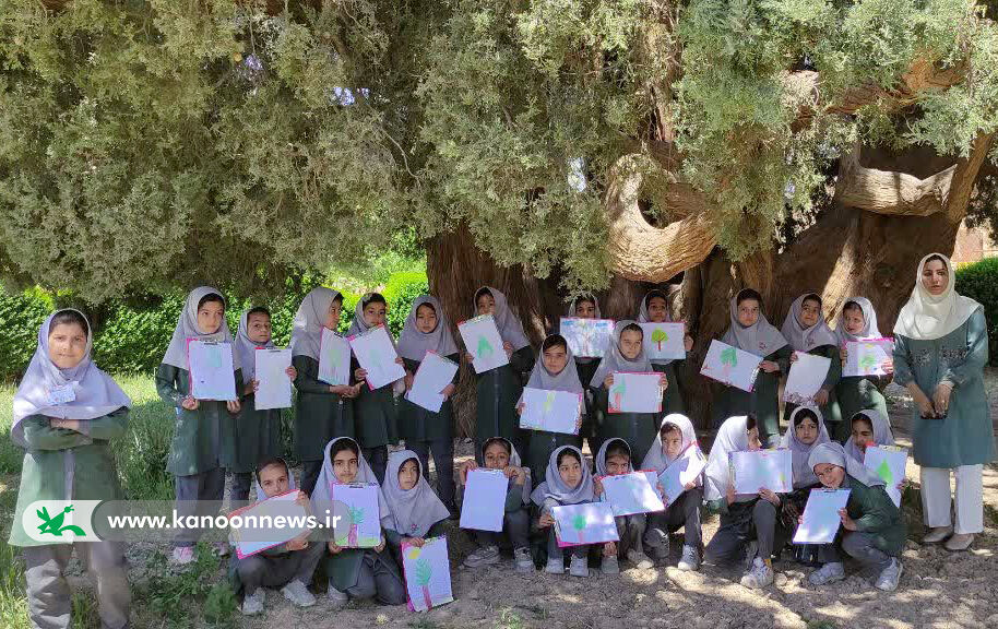 1290849-1 ویژهبرنامه هدیهای برای سرو برگزار شد