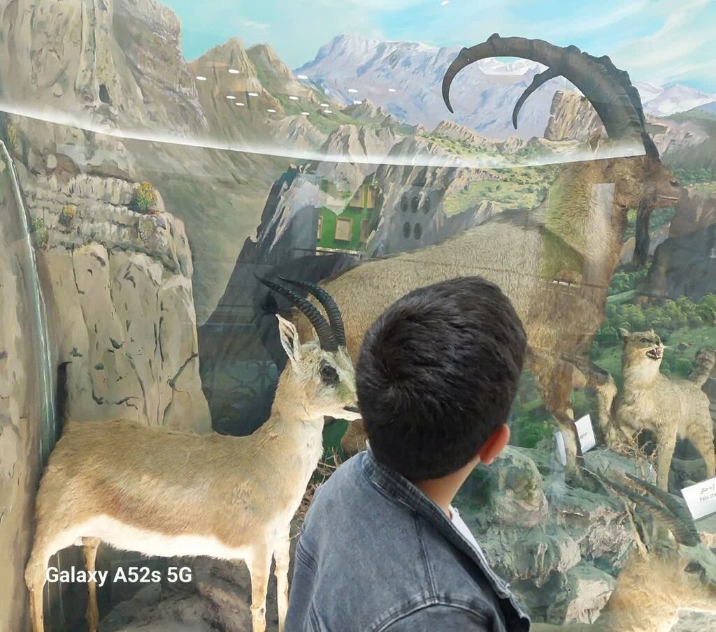 1291251-1 بازدید اعضای مرکز شماره ۴ از موزه محیطزیست استان کرمانشاه