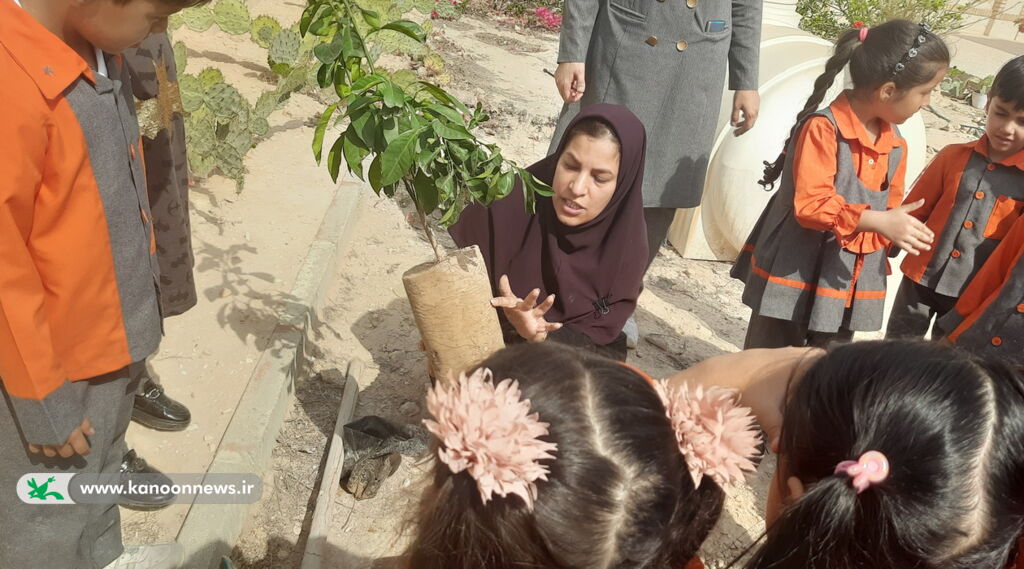 1291280-1 اعضا کانون ساحل عسلویه را پاکسازی کردند