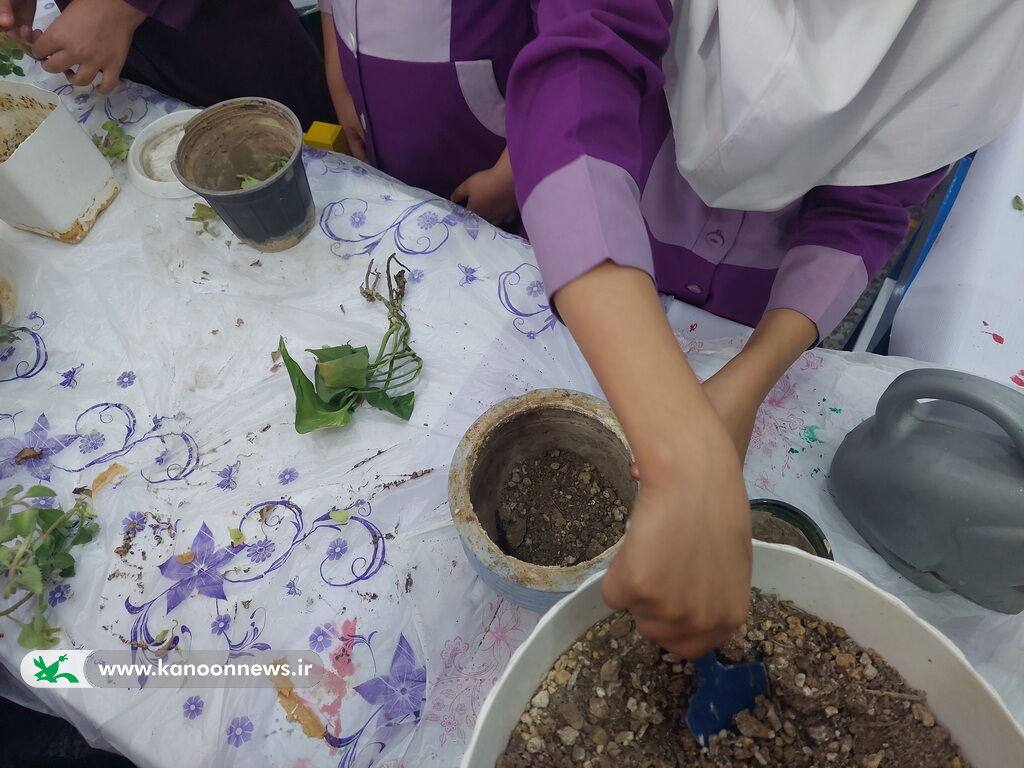 1291370-1 روز گیاهآوری در مرکز عالیشهر