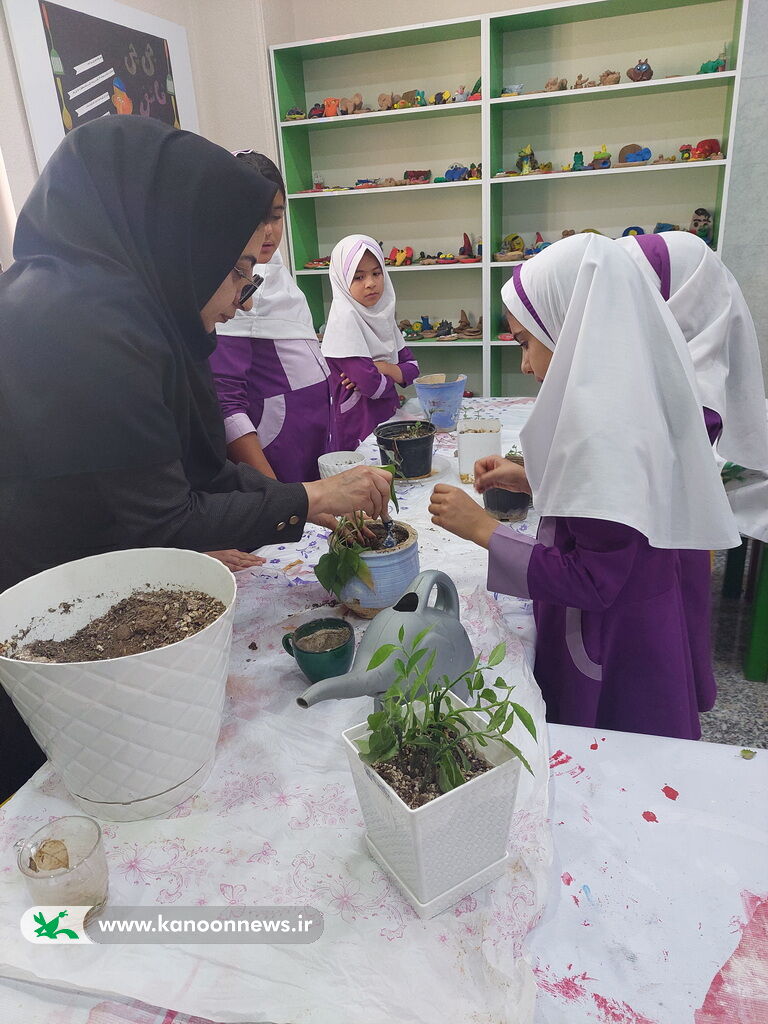 1291375-1 روز گیاهآوری در مرکز عالیشهر