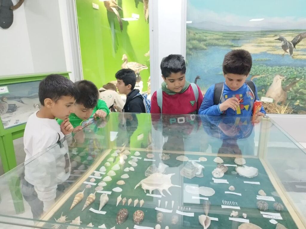 1299592 اعضای مرکز شماره ۱۳ از موزه محیطزیست استان کرمانشاه بازدید کردند