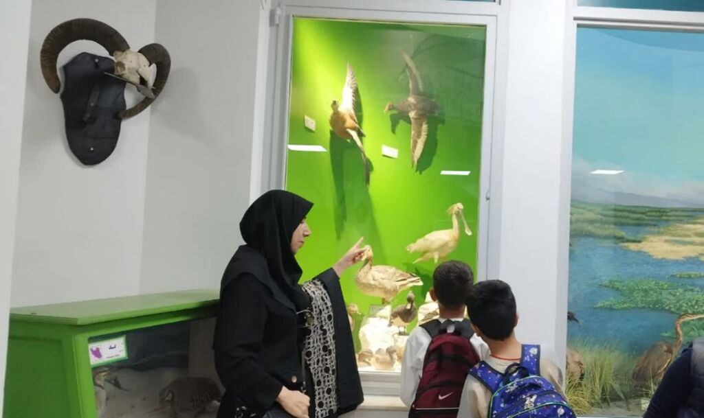 1299593 اعضای مرکز شماره ۱۳ از موزه محیطزیست استان کرمانشاه بازدید کردند