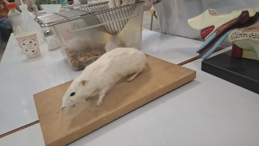 1304280-1 برگزاری کارگاه آموزشی«سفر به دنیای زیست»