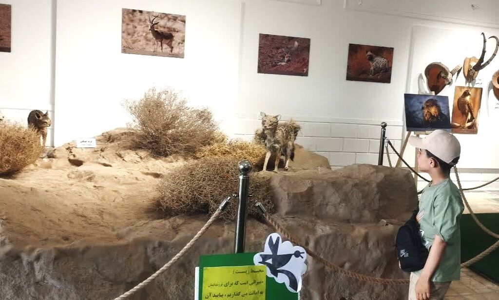 1308091-1 کودکان همصدای طبیعت شدند