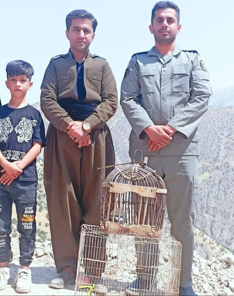 برگزاری آیین ویژه رهاسازی پرندگان در طبیعت ثلاث‌باباجانی