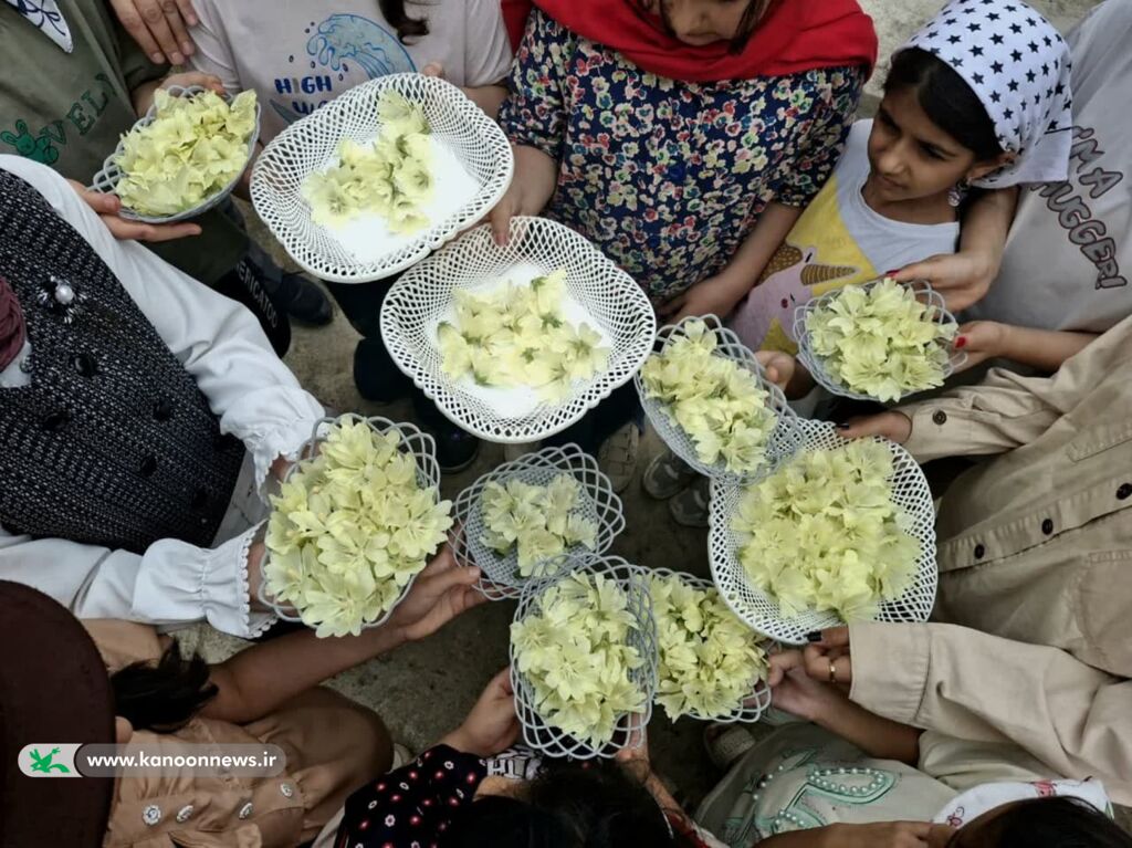 رایحه طبیعت در کانون گرگان؛ گل ختمی، محور آموزش مهارت‌های زیست‌محیطی شد