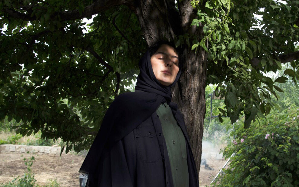 «در آغوش درخت» بهترین فیلم جشنواره کانادایی شد