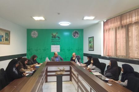 تازه ترین جلسه شورای فلسفه برای کودکان در استان مرکزی