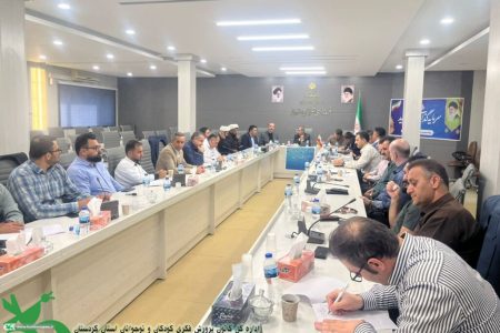 درخشش کانون پرورش فکری کودکان و نوجوانان استان کردستان در عرصه فرهنگی اوقات فراغت