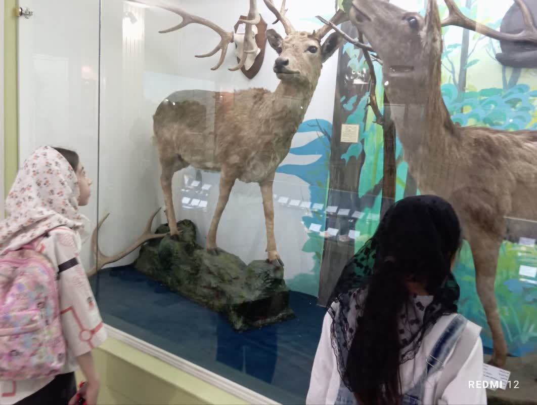 1325461 بازدید اعضای کانون شهر اراک از موزه حیات وحش