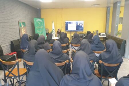 دوره آموزش «بازی و تاثیر آن بر رفتار کودکان و نوجوانان با نیازهای ویژه» برگزار شد