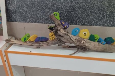 پرواز خلاقیت بر بال پرندگان سنگی در شهمیرزاد