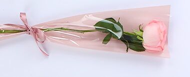 1327871 تقدیر مدیرکل کانون پرورش فکری کودکان و نوجوانان هرمزگان از اعضای نوجوان خبرنگار