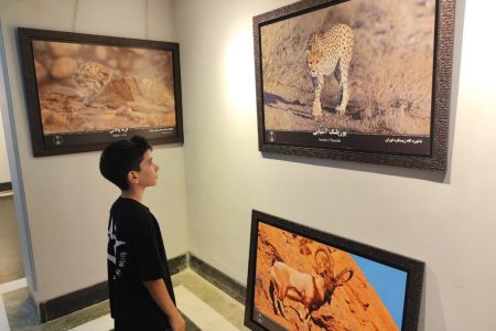 اعضای مجتمع سمنان در روز ملی یوزپلنگ، نگاهی نو به حفاظت از محیط زیست آموختند