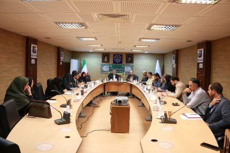 دومین جلسه گروه کاری تخصصی کودک و نوجوان استان مرکزی