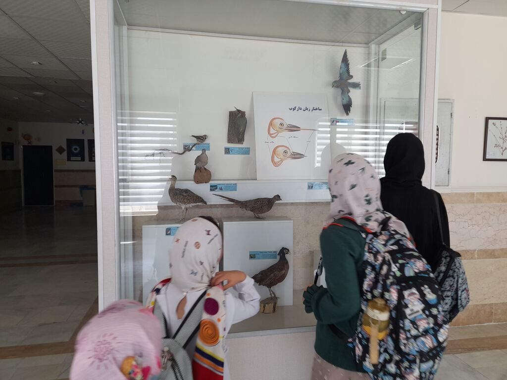 اردوی علمی، تفریحی مرکز فرهنگی هنری شماره ۳ کانون استان قم از مرکز شماره ۱۰ کانون استان