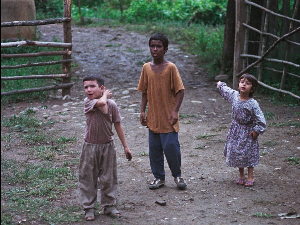 1334969 «باشو، غریبه کوچک» راهی تورنتو شد