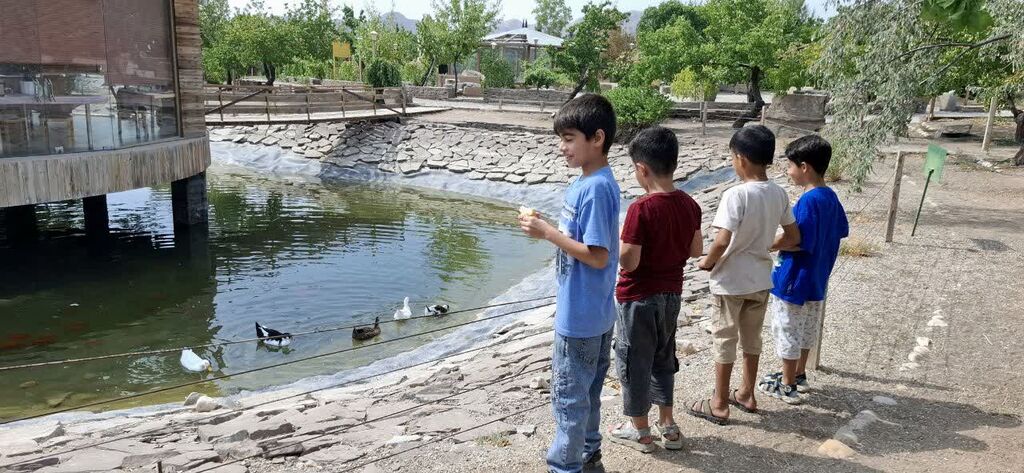 1335107-1 اردوی خاطرهانگیز پسران کانون بسطام در دل طبیعت