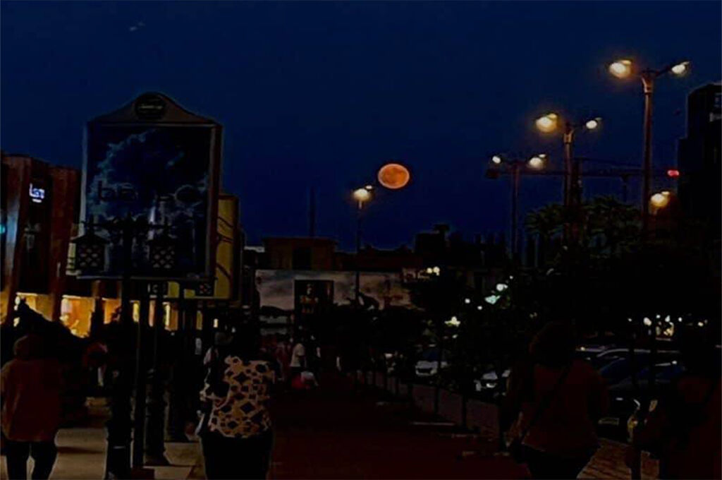 1335660 شبی رویایی با نجوم و شگفتیها در باغموزه دفاع مقدس رشت