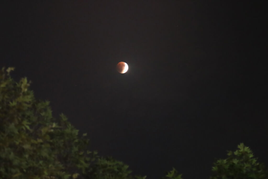 مربیان کانون پرورش فکری ساری در پویش «ماه در آغوش سایه‌ها» خسوف را با مردم رصد کردند