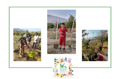 کاشت نهال در مرکز لواسان استان تهران