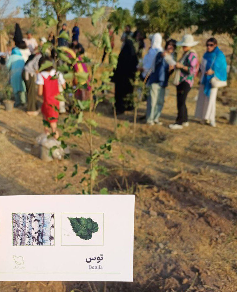 1338531-1 کاشت نهال در مرکز لواسان استان تهران