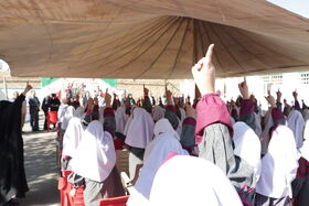 1347334-1 IMG_4804.JPG