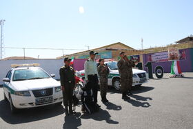 1348953-1 IMG_5132.JPG