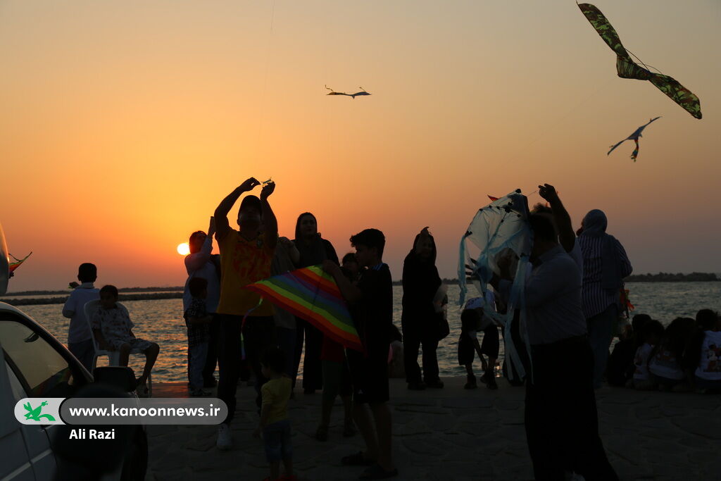 پرواز بادبادک‌ها بر فراز ساحل نیلگون خلیج فارس در بوشهر