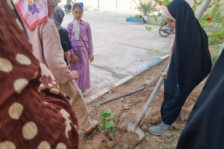 کاشت نهال به نام شهدای جنگ ۱۲ روزه در هفته ملی کودک