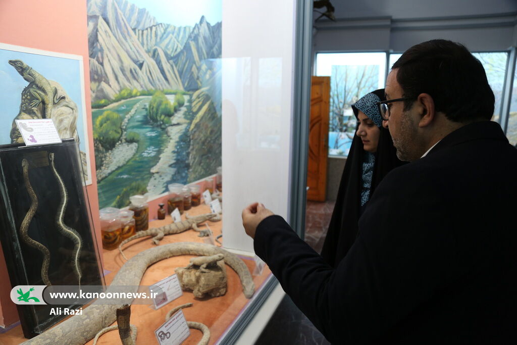 1359944-1 کودکان و نوجوانان بوشهری، سفیران کوچک حفظ زمین شدند