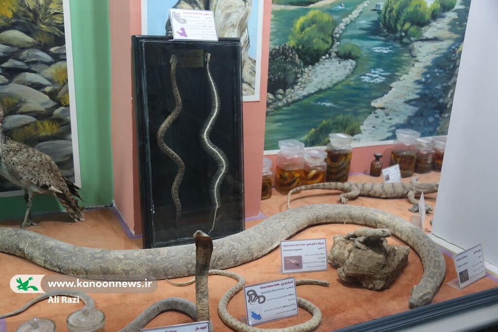 1359950-1 کودکان و نوجوانان بوشهری، سفیران کوچک حفظ زمین شدند