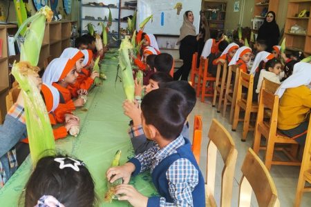 «روز خوشمزه» در مرکز فرهنگی هنری سی‌سخت میزبان خانواده‌ها شد