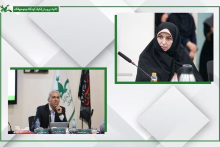 انتصاب مسئولان کمیته‌های هماهنگی امور استان‌ها و فن‌آوری اطلاعات جشنواره قصه‌گویی