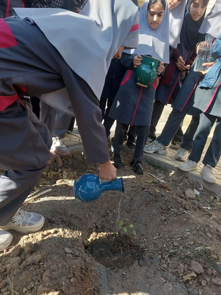 1374087-1 کاشت نهال در مرکز فرهنگی سرخس